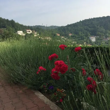 Gina * Opatija
