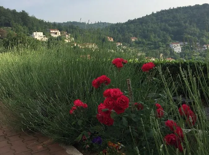 Gina * أوباتيا