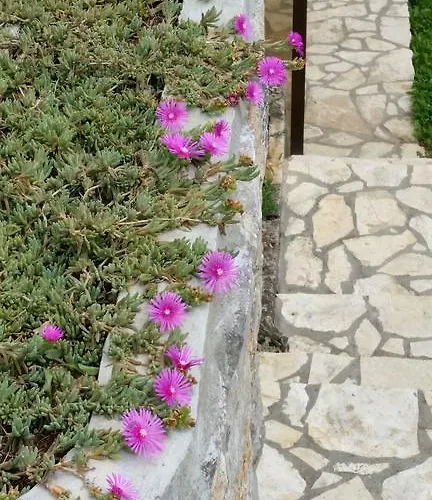 Gina דירה